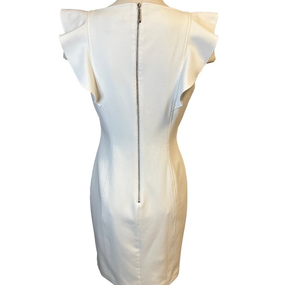 White House Black Market Ruffle Dress/Size 4 - Picture 3 of 10